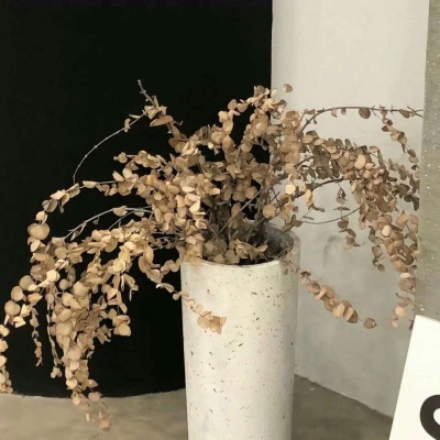 Furry赛博风格设计技巧福瑞交流群